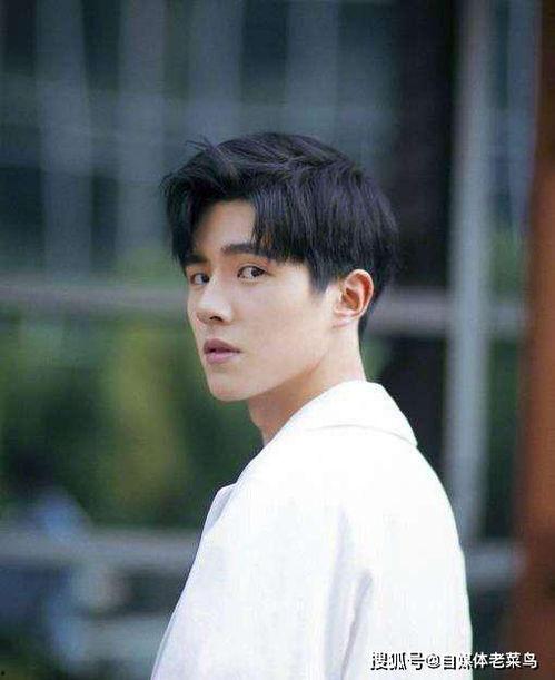 明星爆料刘昊然鹿晗视频,揭秘两位当红小生的幕后故事