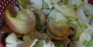 潮汕咸菜爆料视频,揭秘传统美食背后的独特风味与制作工艺