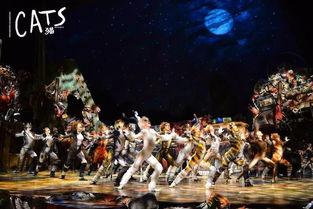 音乐剧猫在线观看