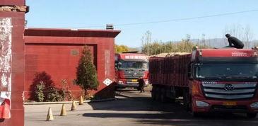 山西煤场爆料视频,揭秘煤炭市场乱象