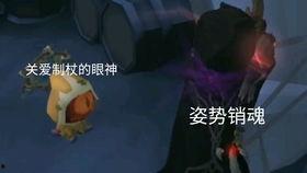 风水老佬爆料视频大全集,老佬爆料视频大全集精华汇总