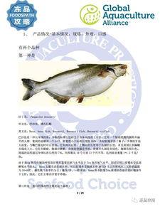 巴沙鱼最新爆料,揭秘行业背后惊人真相